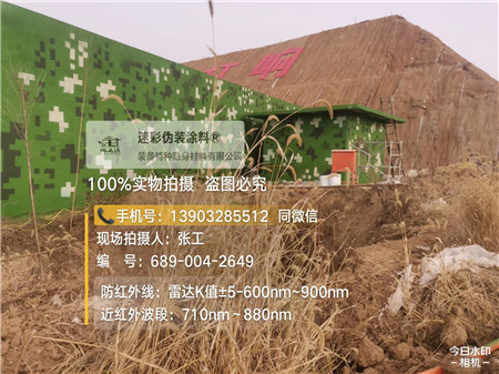 伊春星空迷彩墙施工队